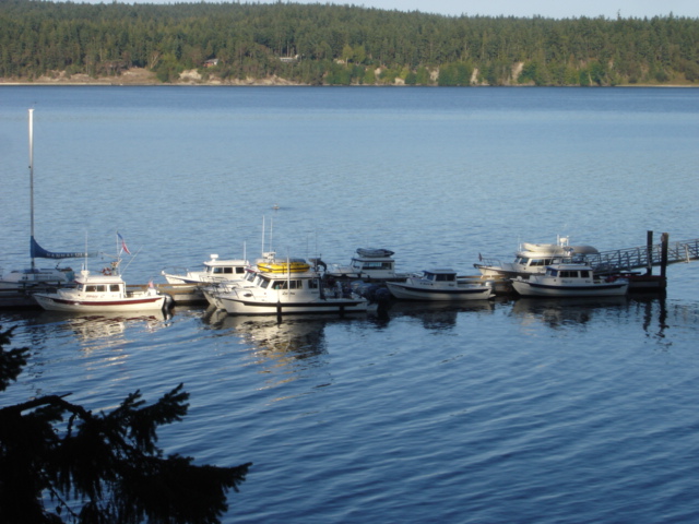 12 Sept R-MATEY & other
 C-Dorys at Sequim
