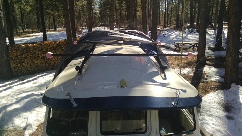 12" Stainless Steel Grab Rails and Thule Roof Rack