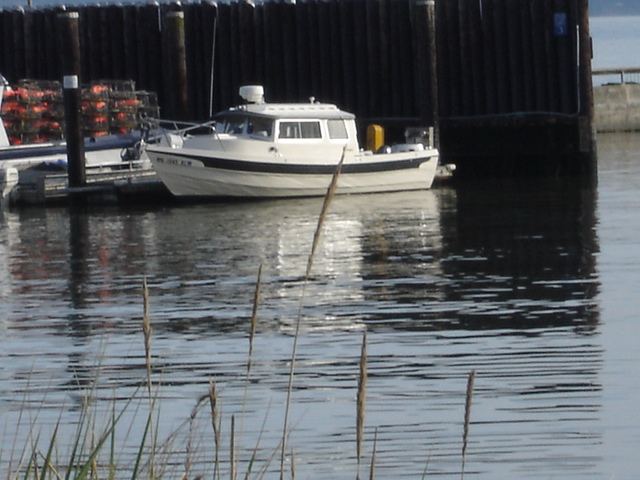 15 Nov 2008 Langley
87 C-Dory owned by Rose 
and Ron of Olympia