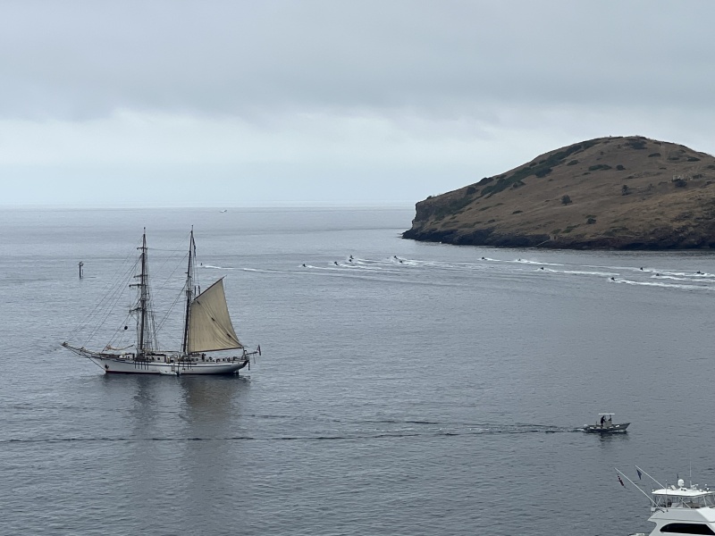 150IrvingJohnsonTallShip