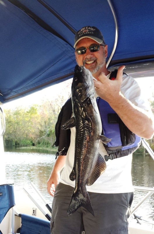 16.) Dead River catfish caught on a Rapala lure