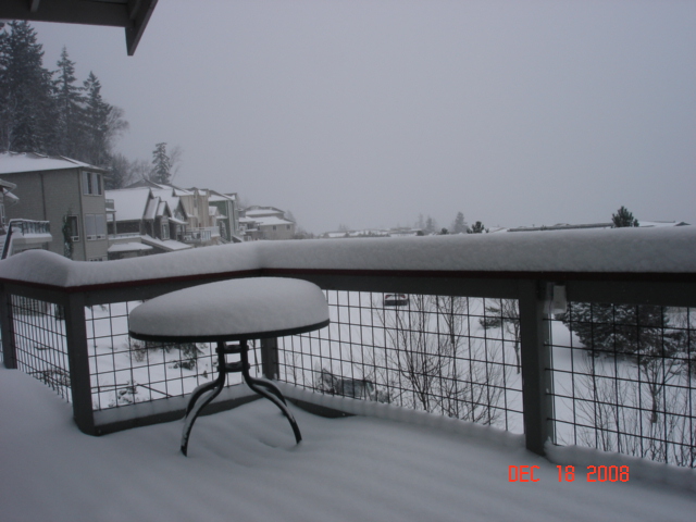 18 December Bellingham
Southwest view