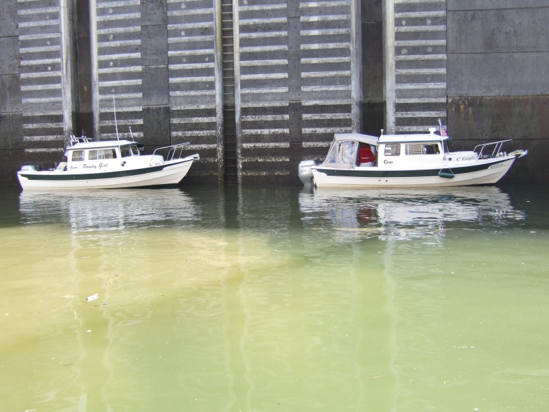 2007 0428(025)