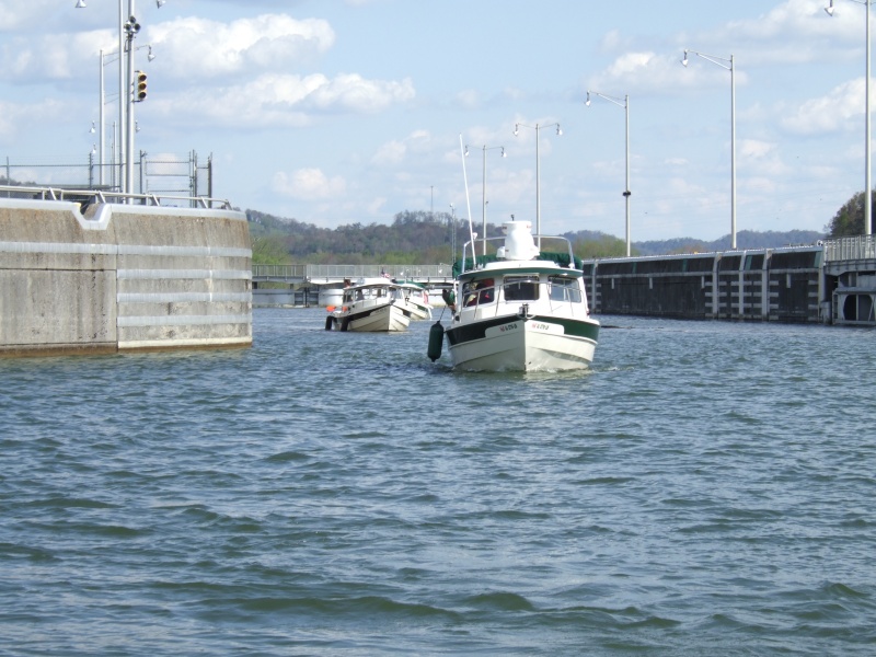 2007 0428(031)