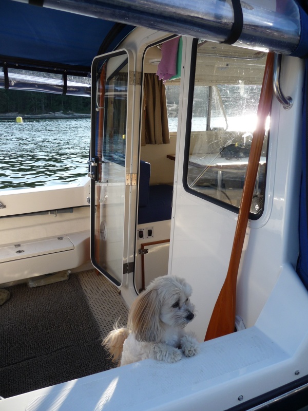 2009 Venture 23 Pacific Wanderer