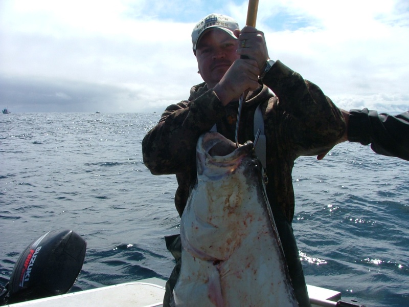 2011 Newport, OR Halibut  52\"