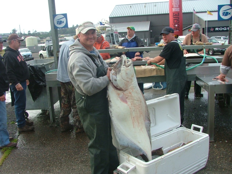 2012 Newport, OR Halibut 58\"