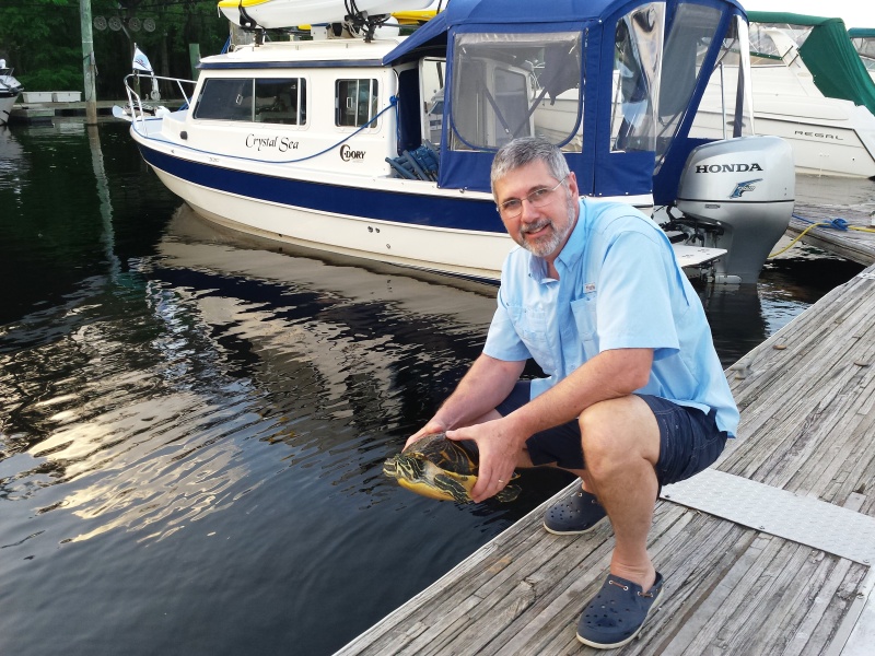 2015-03-05 Turtle at Boat Tree Marina, Sanford, FL