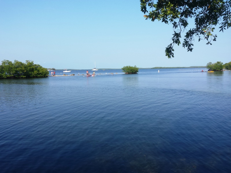 2015-03-26 Pennekamp State Park