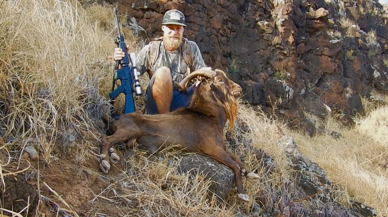2018 Captain Cook's Spanish Goat West side Oahu.
OMG A BLACK RIFLE its impossible to hunt with that, it Might go "Full Semi Auto" at any moment ask any news idiot!