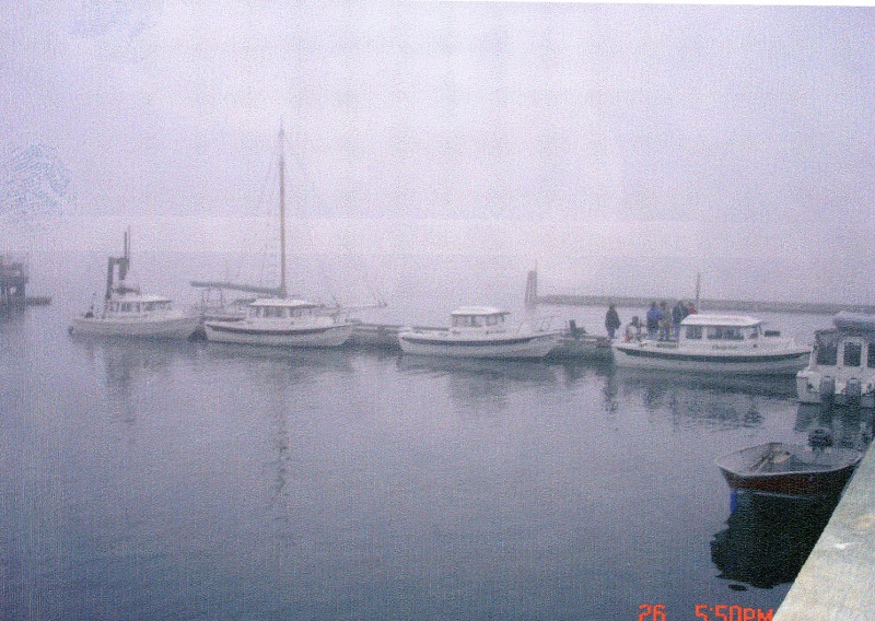 26 Feb 2005 Cornet Bay about 6PM (left to right):  Anita Marie, Daydream/boat-y-sattya, R-Matey, Liberty Call & C-Sick in the corner.