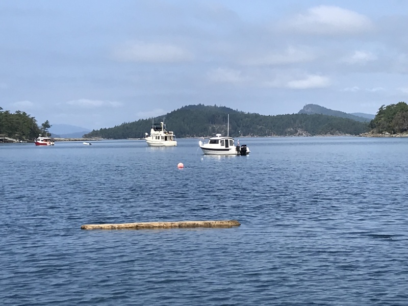 26 - Winter Hbr - Saturna I