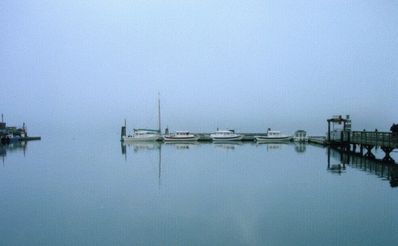 27 Feb 2005 C-Dorys on a foggy Sunday morning at Cornet Bay
