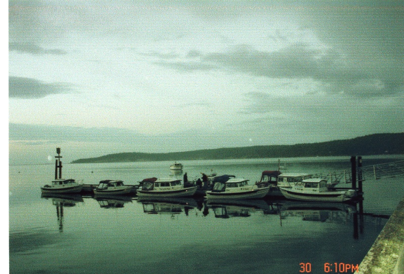 30 Sept 2005 Sequim:  C-Dorys at the dock Friday evening.