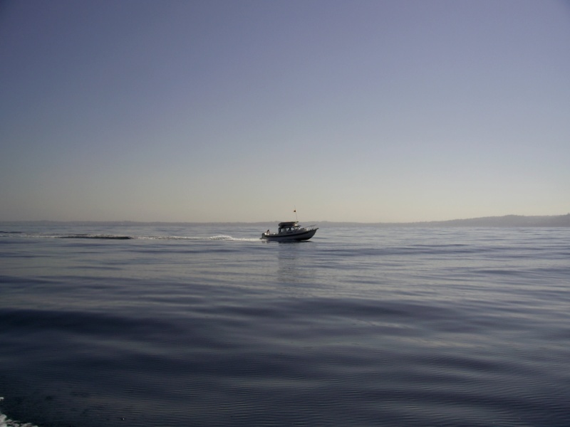 32 mile crossing,  Marina Del Rey to Isthmus Harbor, smooth as glass.