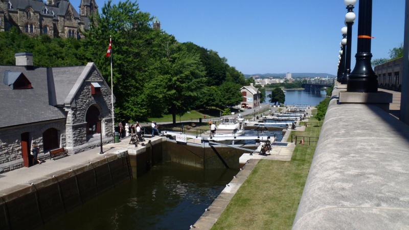 36.) Flight of 8 in Ottawa