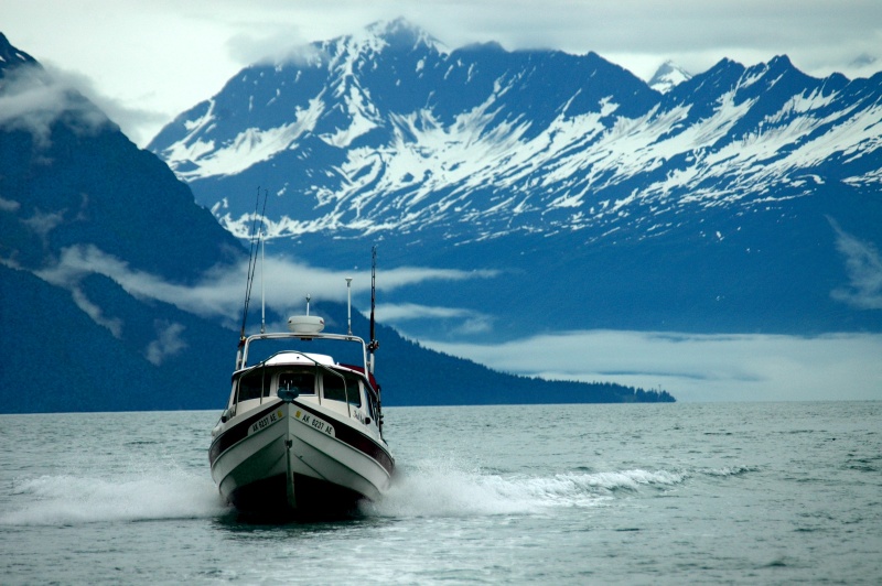 3rd Byte in Valdez Narrows