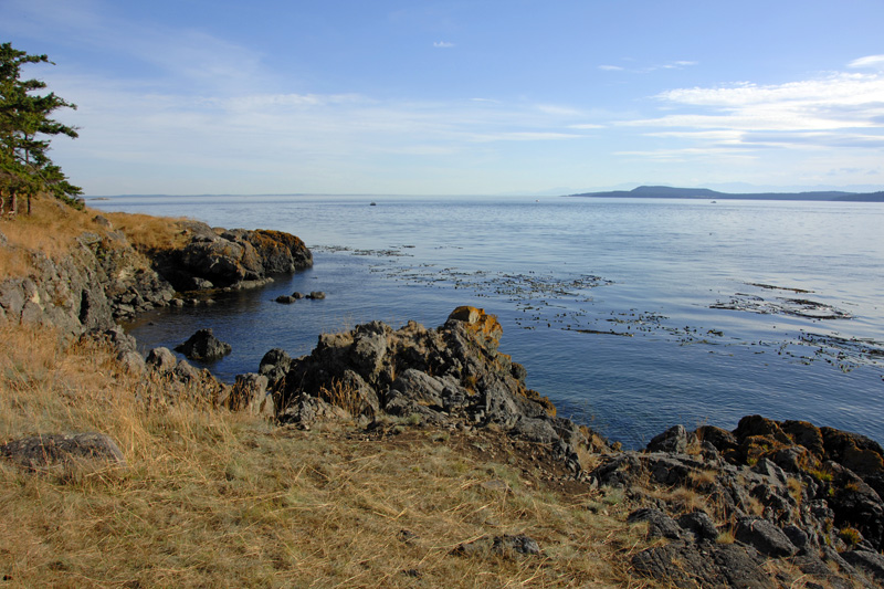 4466 James Island shoreline