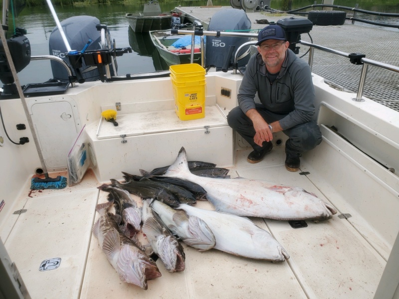 48 lb halibut