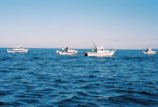 533563-R1-14.jpg