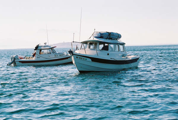 533563-R1-24.jpg