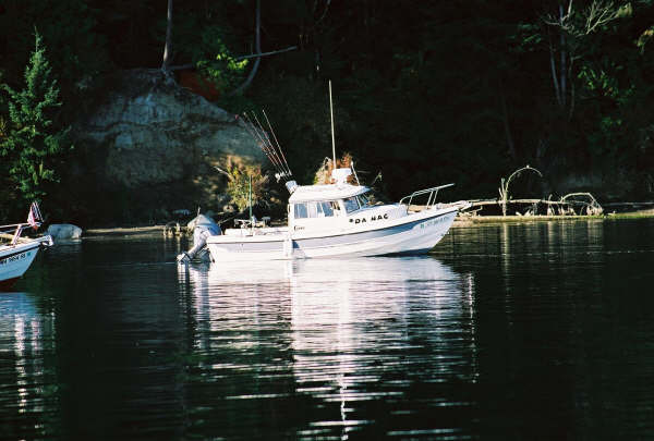 533564-R1-17A.jpg