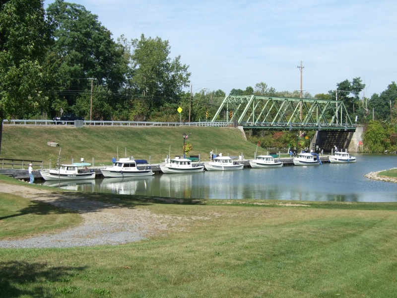 7 little C-Dorys all in a row in Palmyra
