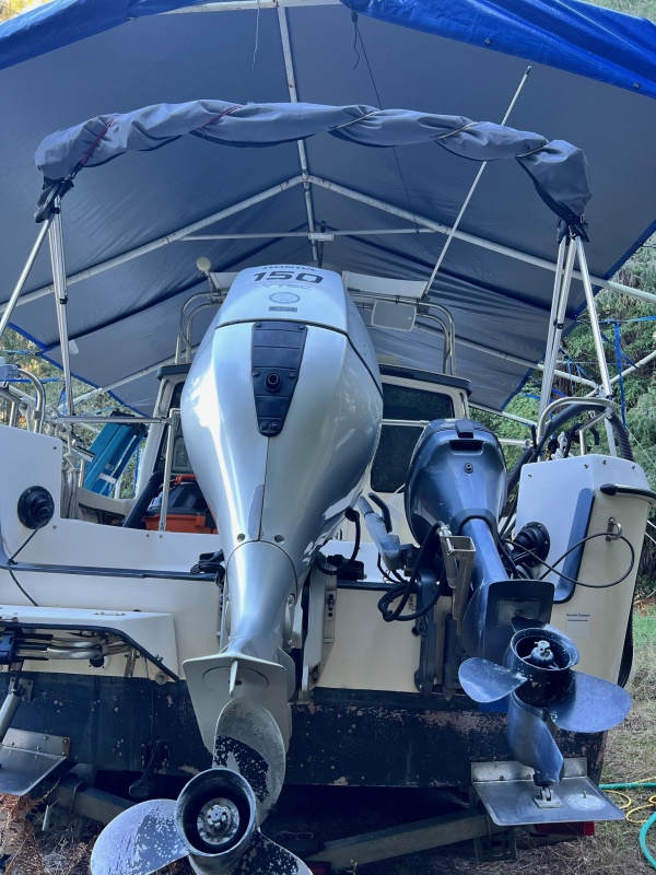 8 horse Yamaha has automatic tilt.