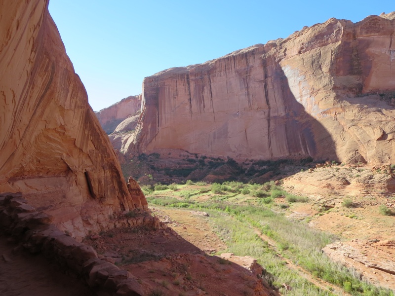 9-23-14 View from Restored Defiance House Ruins