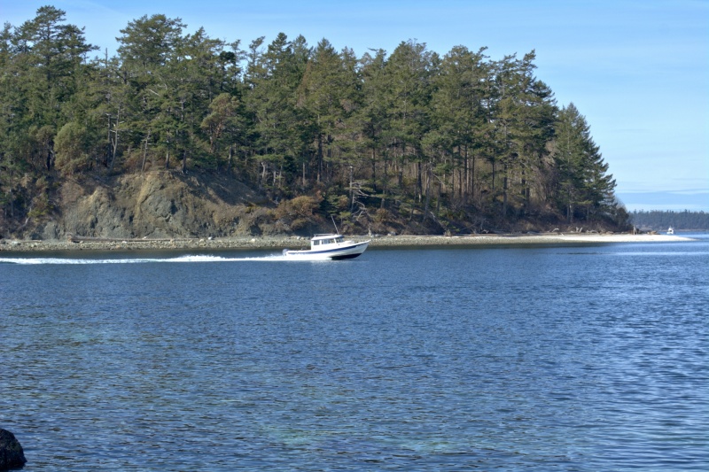 A 22 Cruiser entering Fox Cove