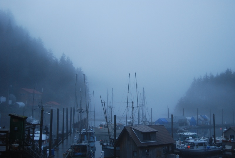 a bit of fog in the harbor