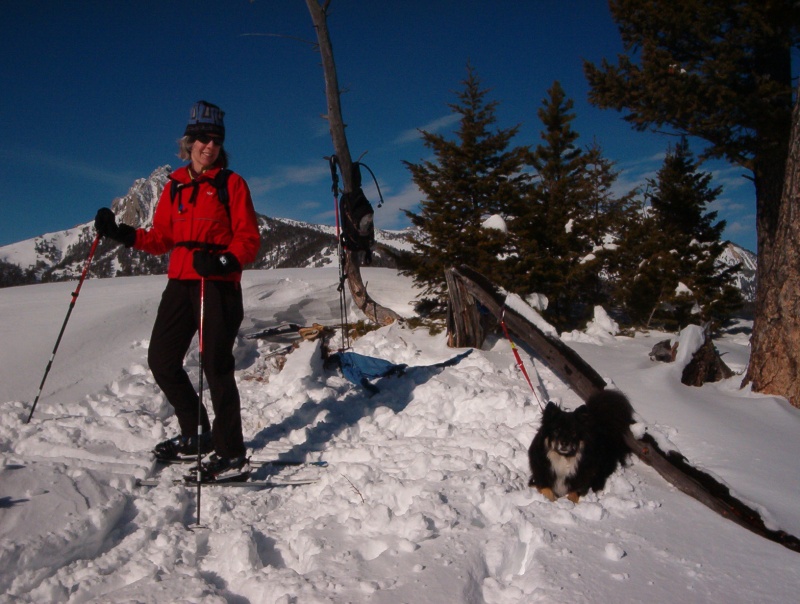 A break from the TD project, a ski up Bracket creek with Laura and Tippy.
