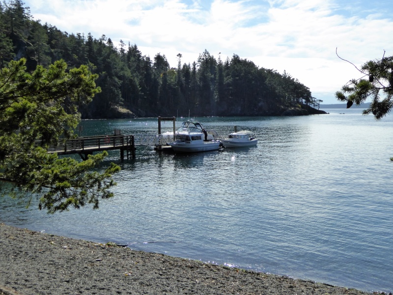 A bunch of others arrived and stayed for an hour or two on the aluminum fishing boat in front of mine.