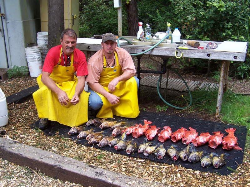 a few bottom fish