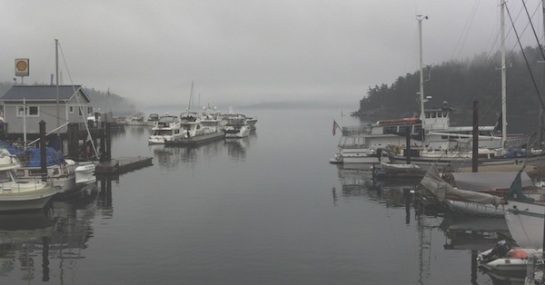 A foggy morning at Friday Harbor