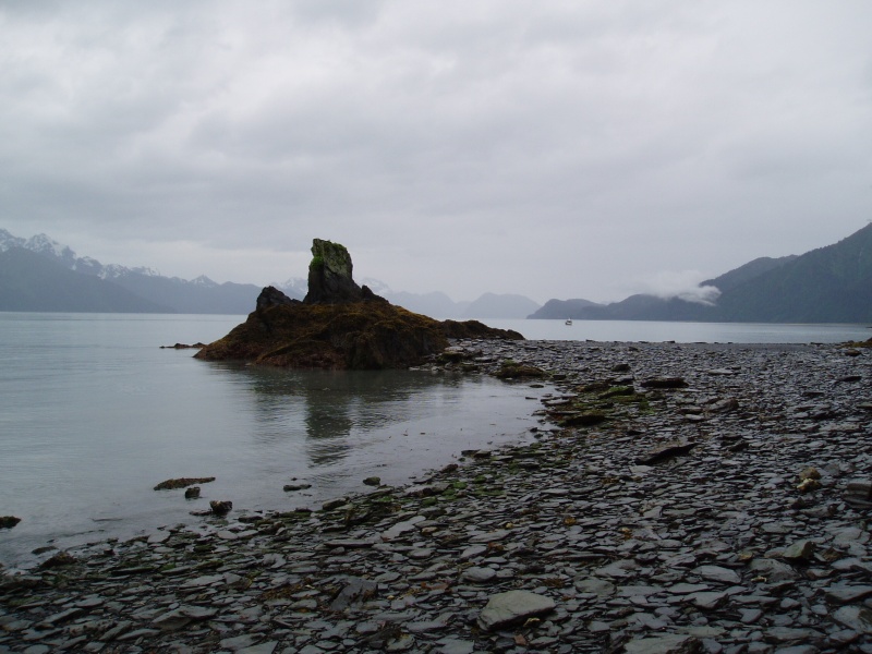 A look South from Lowell Point Resurrection Bay Seward, AK