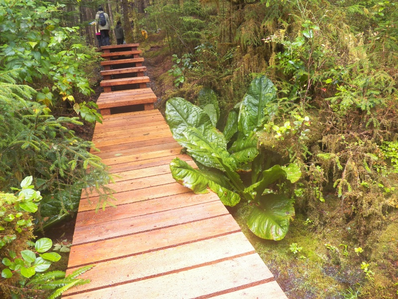 A new section of boardwalk.