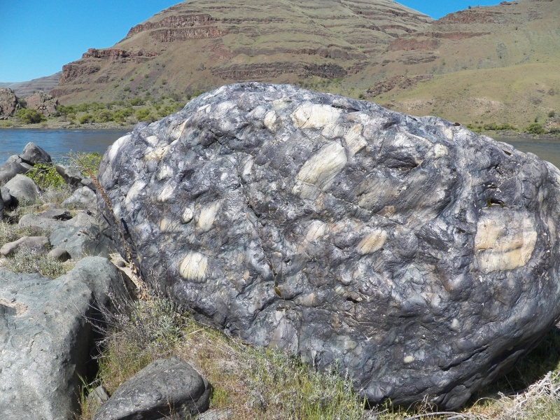 A polished conglomerate boulder with what appears to be marble inclusions.