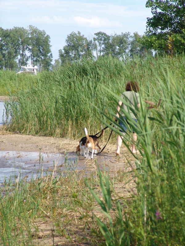 A quick dog walk before the next storm.