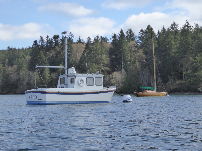 A salty looking 20 footer in Blind Bay - anyone know the make?
