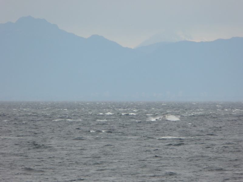 A Sea Sport 24 making its way through the chop on the west side of the island