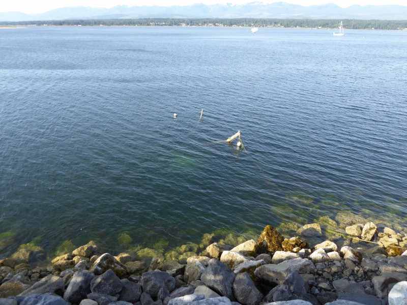 A sunken vessel just outside the breakwater in Comox