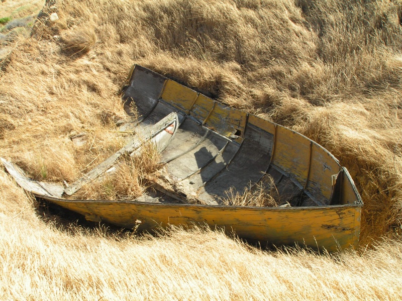 A true "fixer-upper"