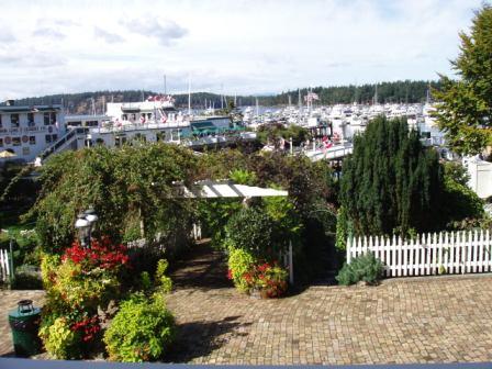 A view of the marina, Roche Harbor