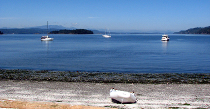 A view while hiking by Montague Harbour