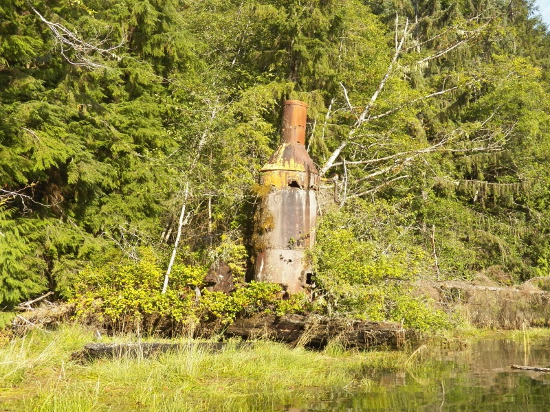 Abandoned steam donkey.