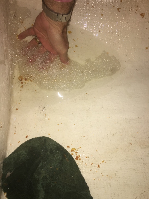 after cleaning the bilge with bleach and Jo Max I took a break and came back to find this puddle that had seeped from the anchor locker aft to the V-berth (the boat was on trailer with bow elevated)