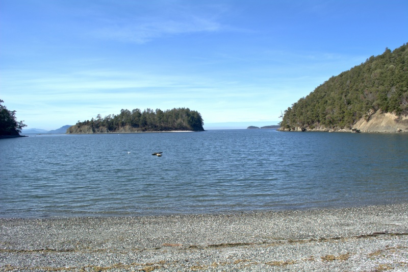 Afternoon walk around the shores of Fox Cove