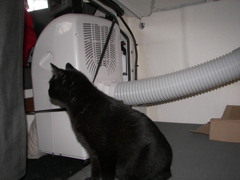 Air intake is in back of unit, so draws from the forward bunk. Has HEPA filter for cat dander,as well as carbon filter for odors.