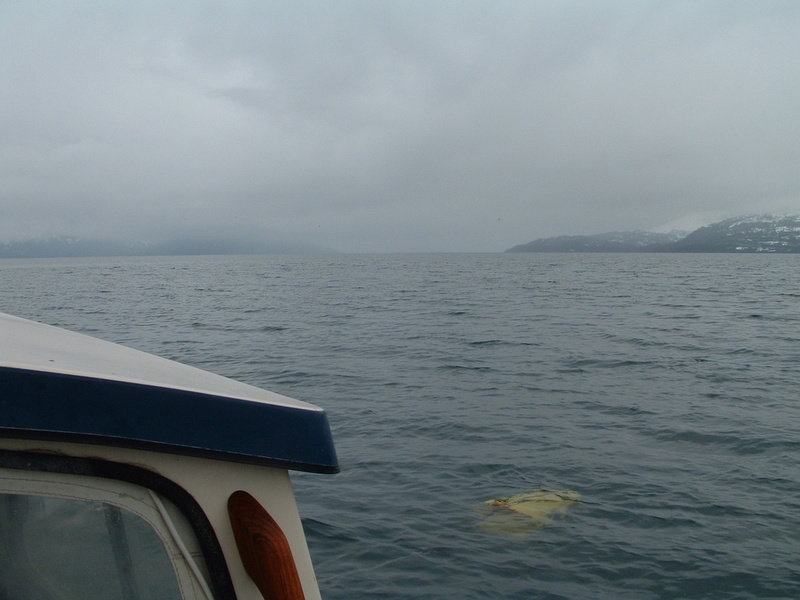 (AK Angler) Drift anchor deployed